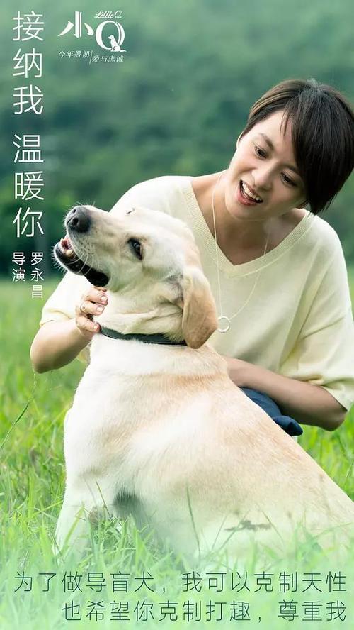 新奇Misanasippi